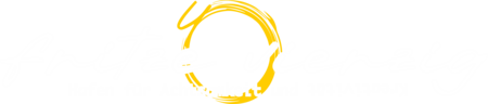 fritze-vierzig.de